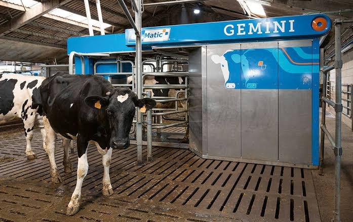 BouMatic Gemini melkrobot in de stal